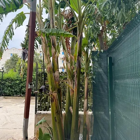 The Holiday home Tropea