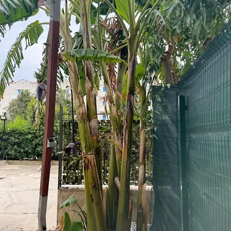 The Holiday home Tropea