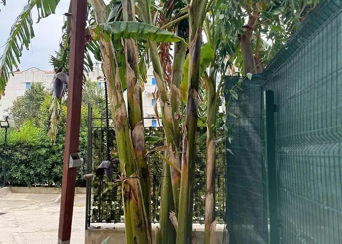 The 度假居 特罗佩阿