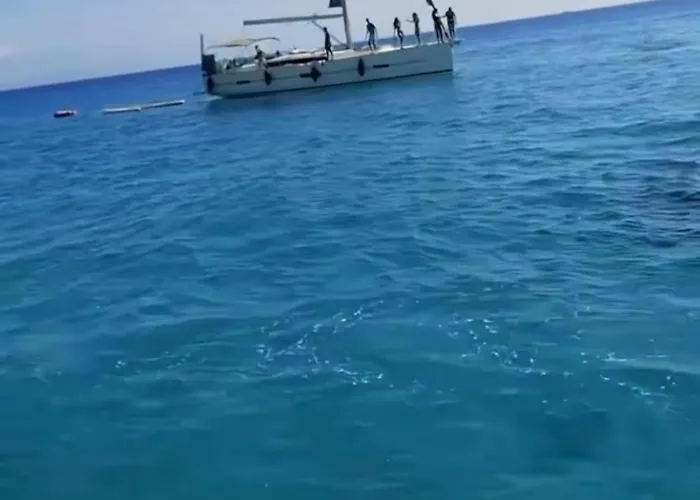 度假居 The 特罗佩阿