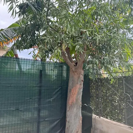 The Casa de Férias *