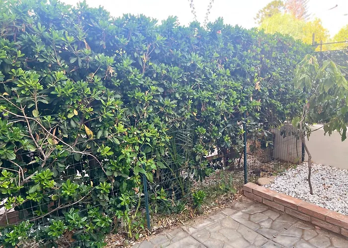 Semesterbostad The *