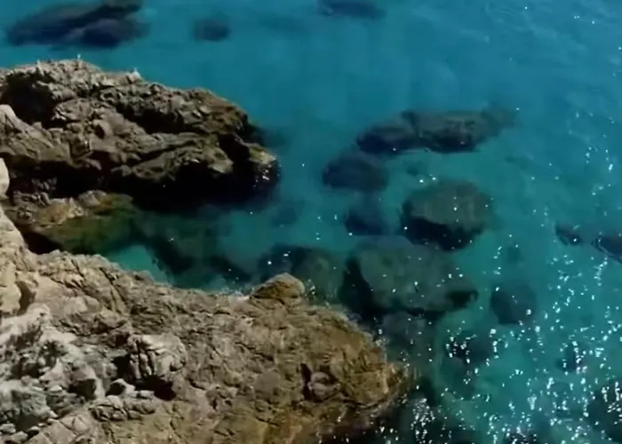 Semesterbostad The *