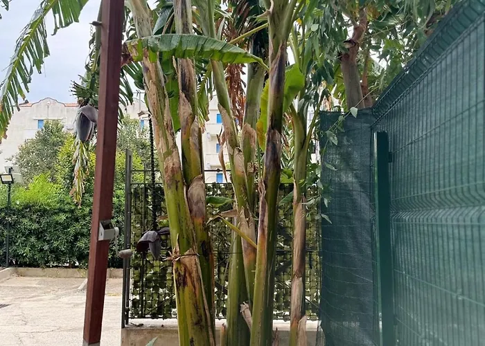 The Semesterbostad Tropea